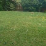 Project In Northamptom