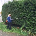 Hedge Trimming